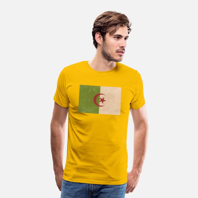 Algerian grunge flag