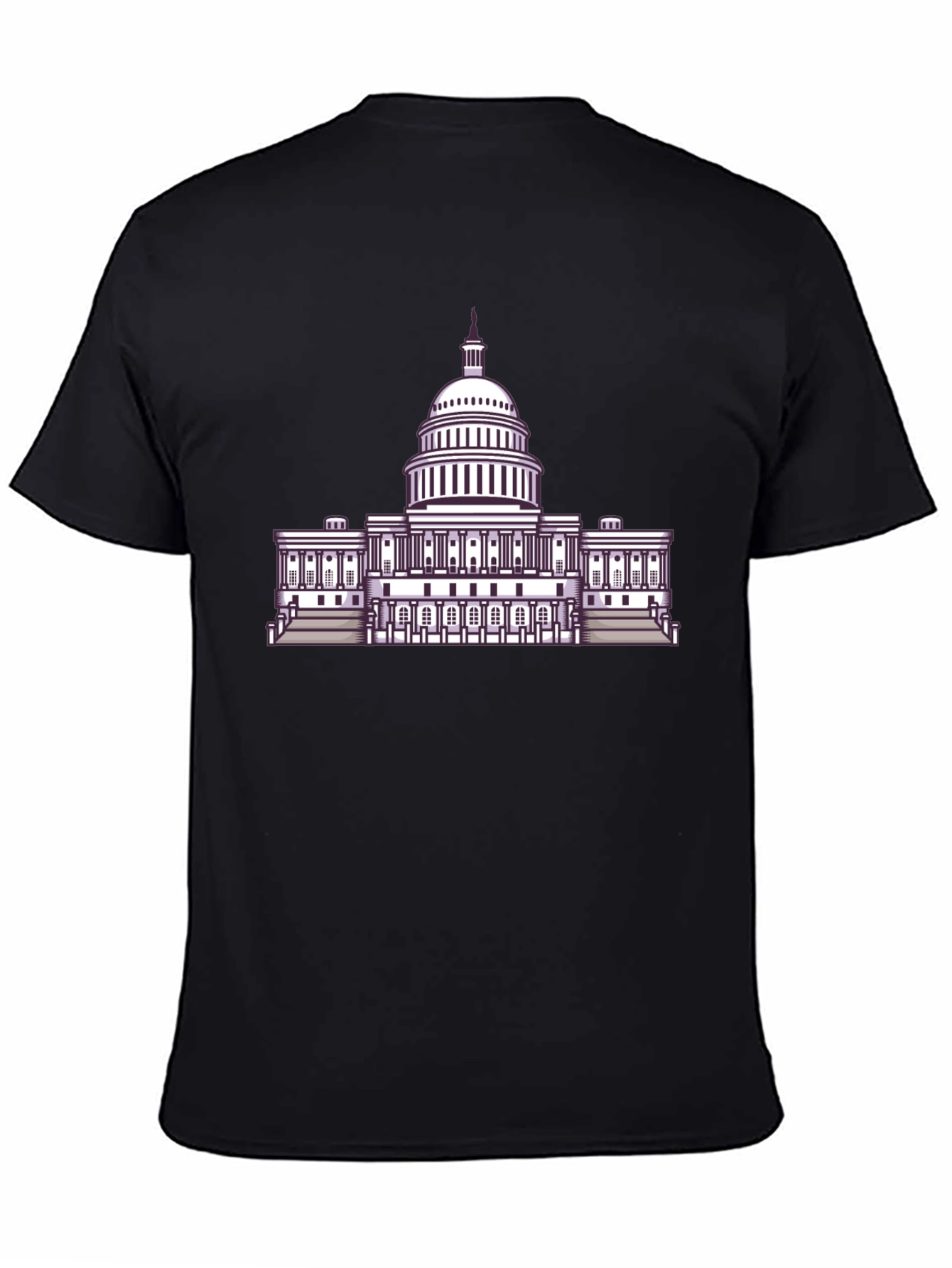 Capitol Building Graphic Tee