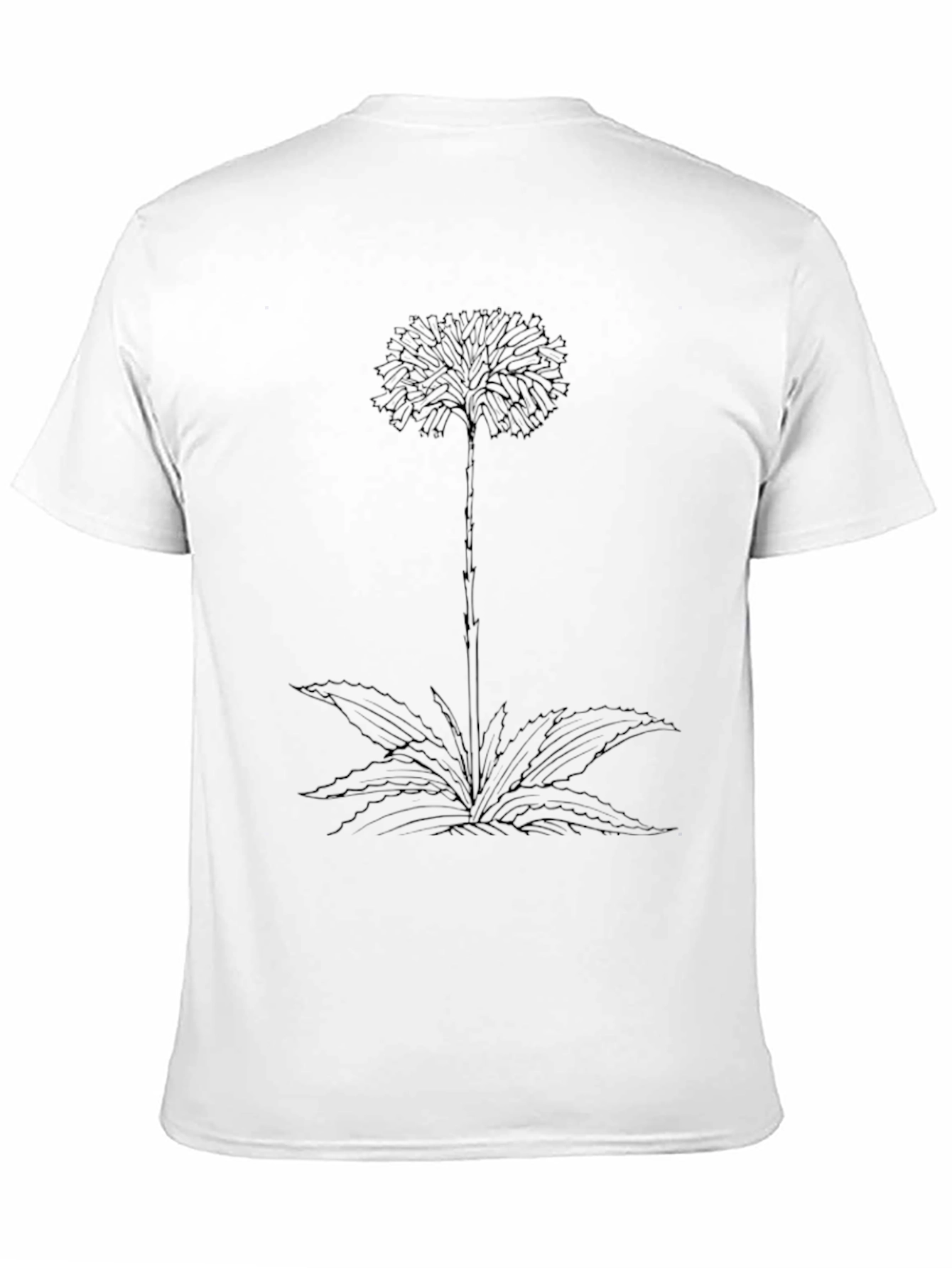 Botanical Graphic Tee - Black Cotton Comfort