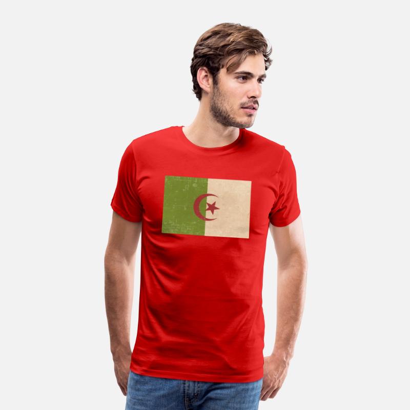 Algerian grunge flag