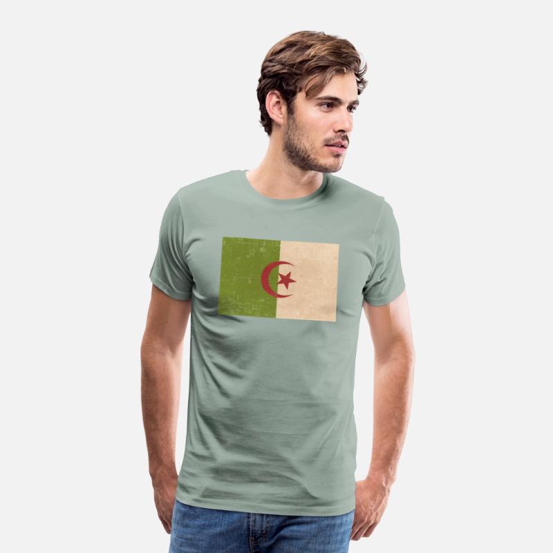 Algerian grunge flag