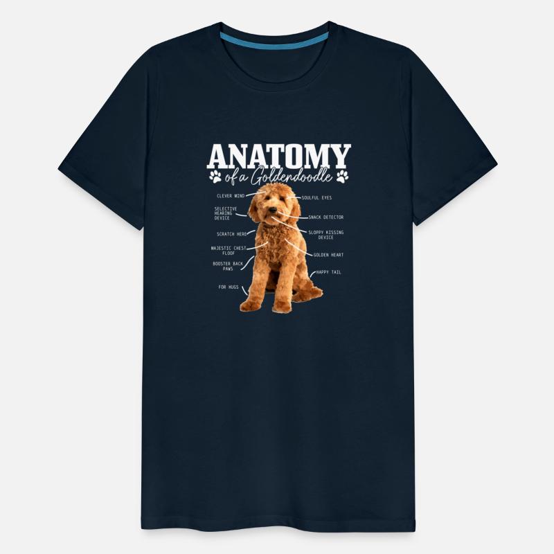 Anatomy Of A Goldendoodle Dog Doodle Mom Dad