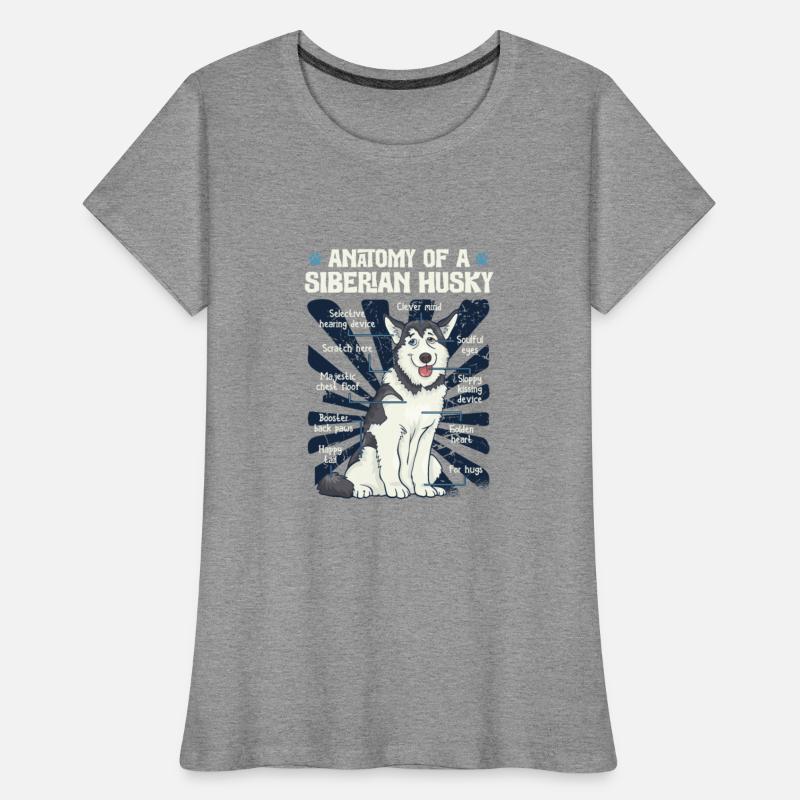 Anatomy Of A Siberian Husky Animal Husky