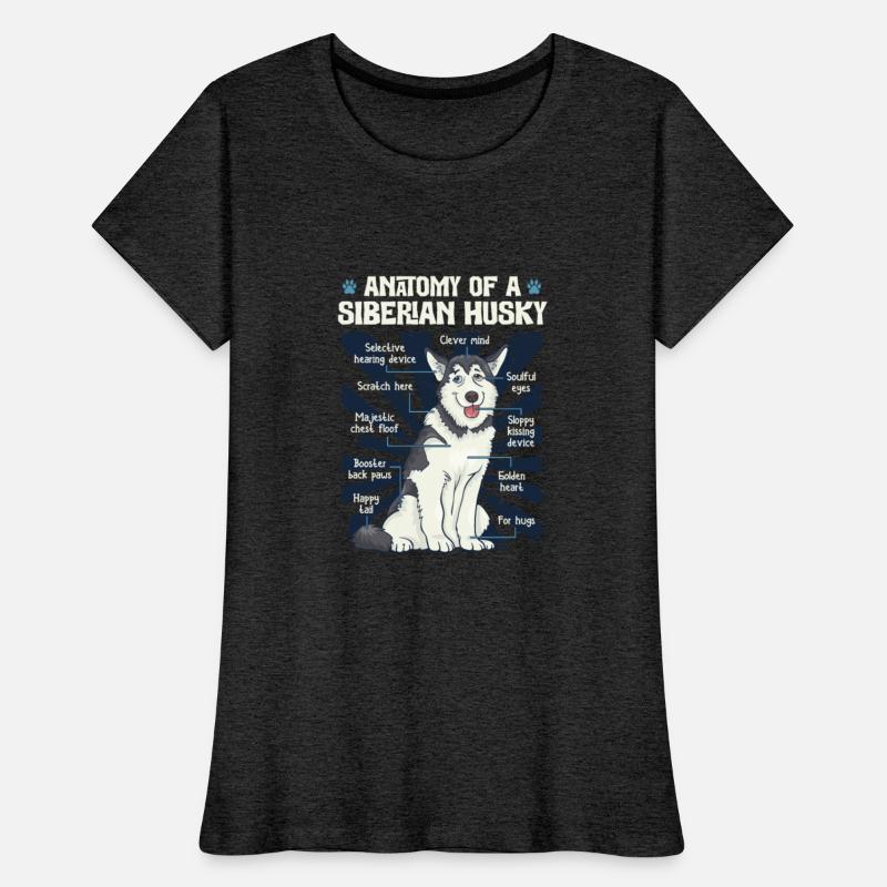 Anatomy Of A Siberian Husky Animal Husky