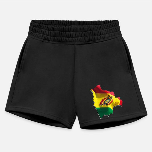 Bolivia Flag in Bolivia Map