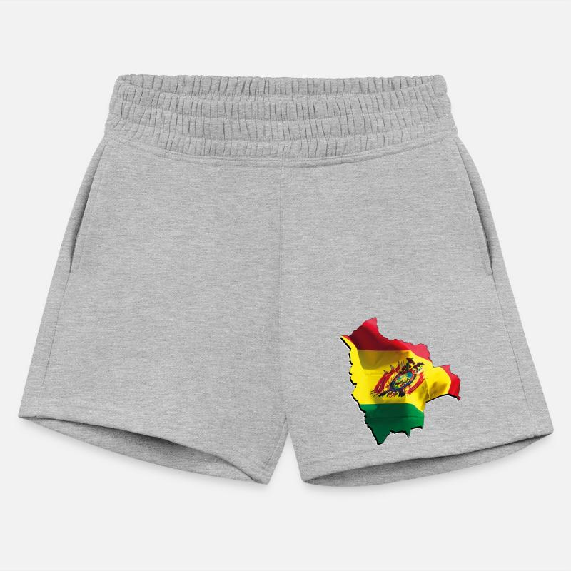 Bolivia Flag in Bolivia Map