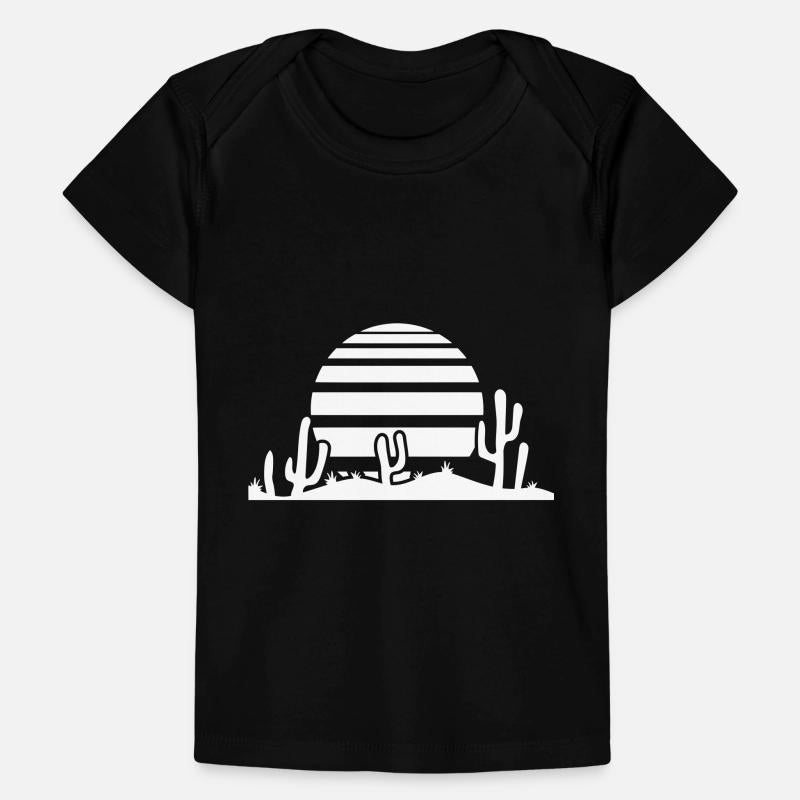 Cactus Desert Sunset Evening Sun Night Many Cacti