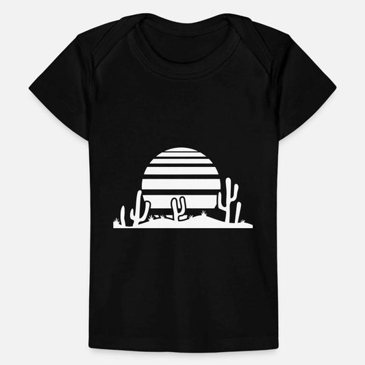 Cactus Desert Sunset Evening Sun Night Many Cacti