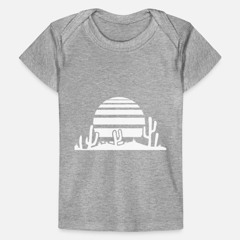 Cactus Desert Sunset Evening Sun Night Many Cacti