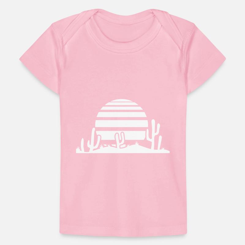 Cactus Desert Sunset Evening Sun Night Many Cacti