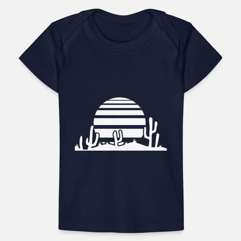 Cactus Desert Sunset Evening Sun Night Many Cacti