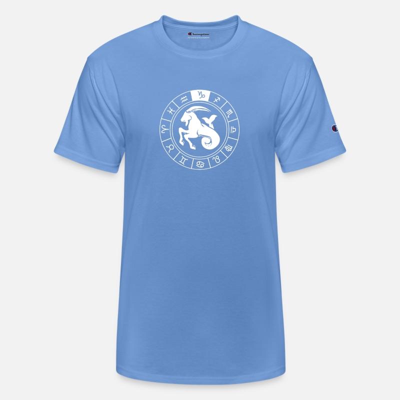 Capricorn Sea Goat Constellation Horoscope