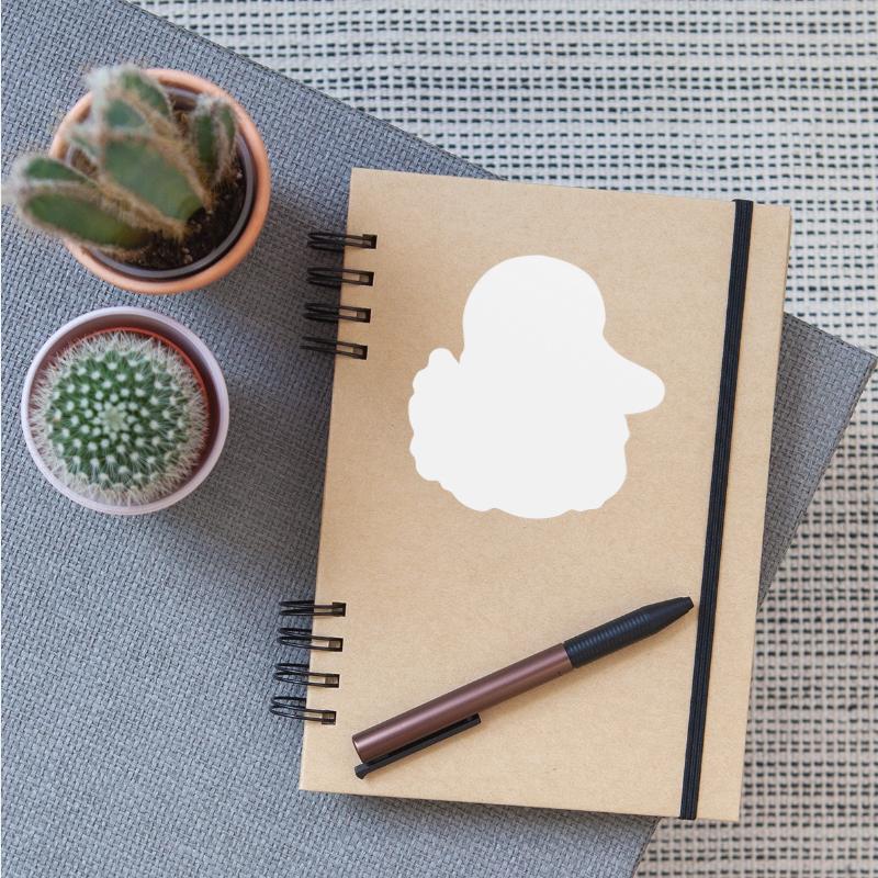 Cute Little Vintage Duck With Huge Beak