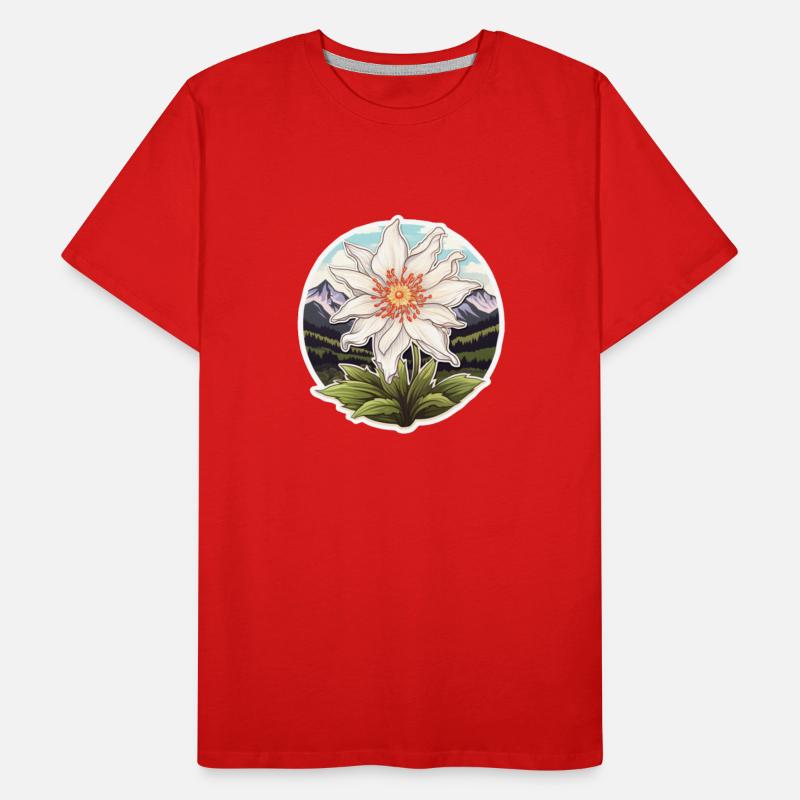 Edelweiß Flower Plant Mountains