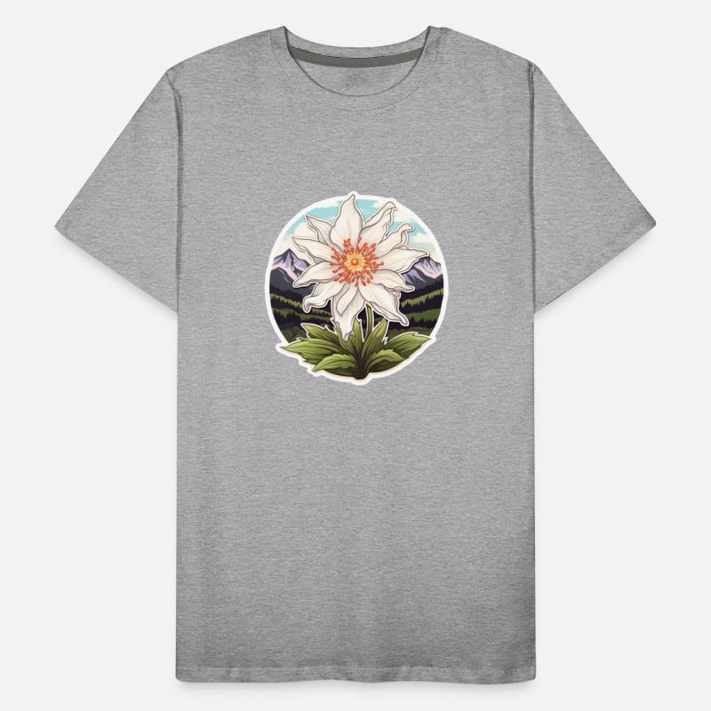 Edelweiß Flower Plant Mountains