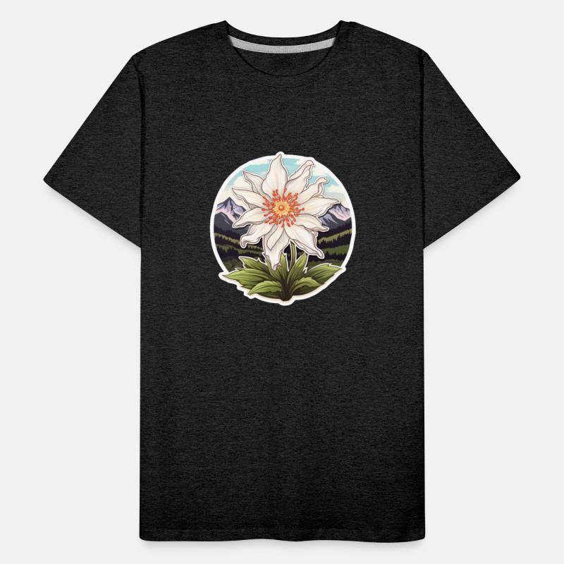 Edelweiß Flower Plant Mountains