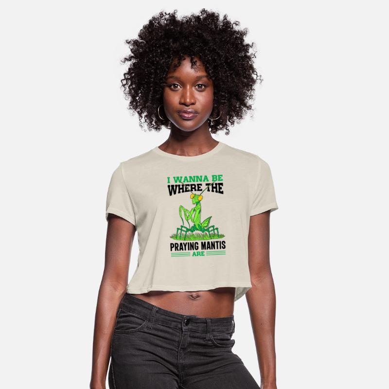 Insect Entomologist Entomology Praying Mantis