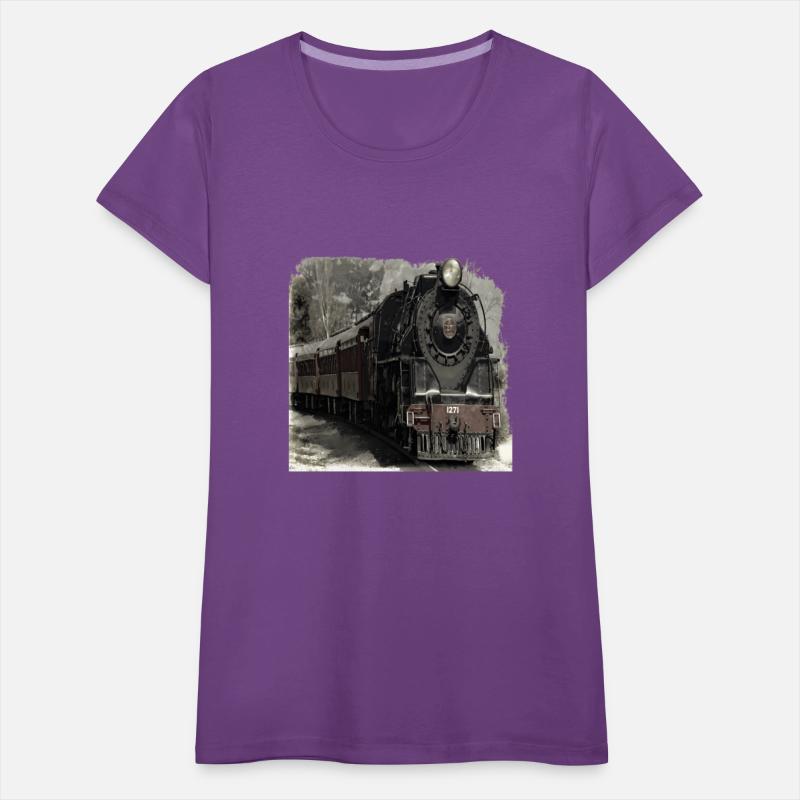 Steam Locomotive Train