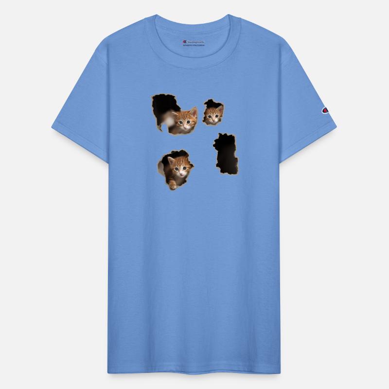 Torn Cloth Cracked Wall Lover