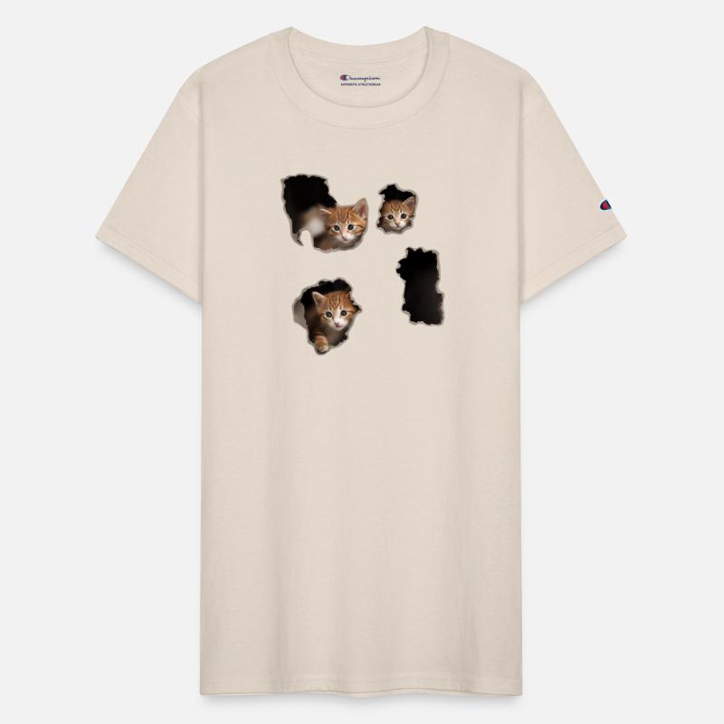 Torn Cloth Cracked Wall Lover